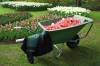 work-grass-plant-lawn-wheel-cart-1159034-pxhere.com